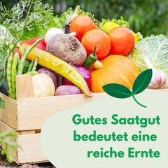 Cosmos Sensation Mix 1g Samen, Cosmos Mix Sommerblumen, Gartenpflanzen Balkonpflanzen, Blumensamen