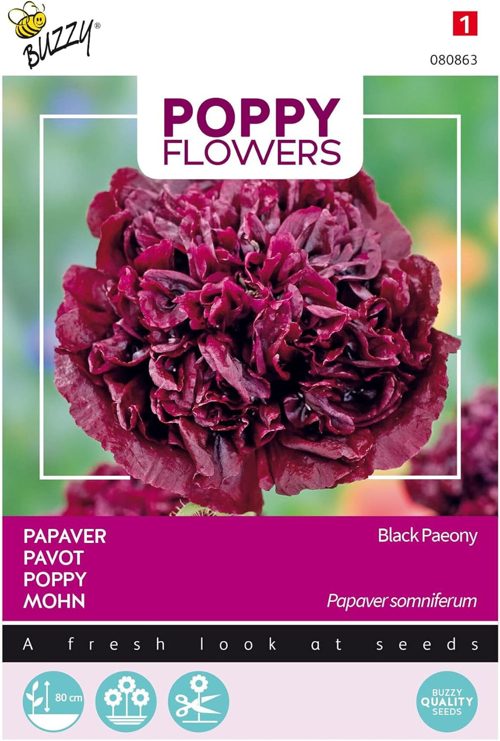 Flori de Mac Buzzy, Mac Negru Paeony