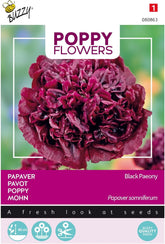 Blumen von Buzzy Poppy, Black Poppy Paeony