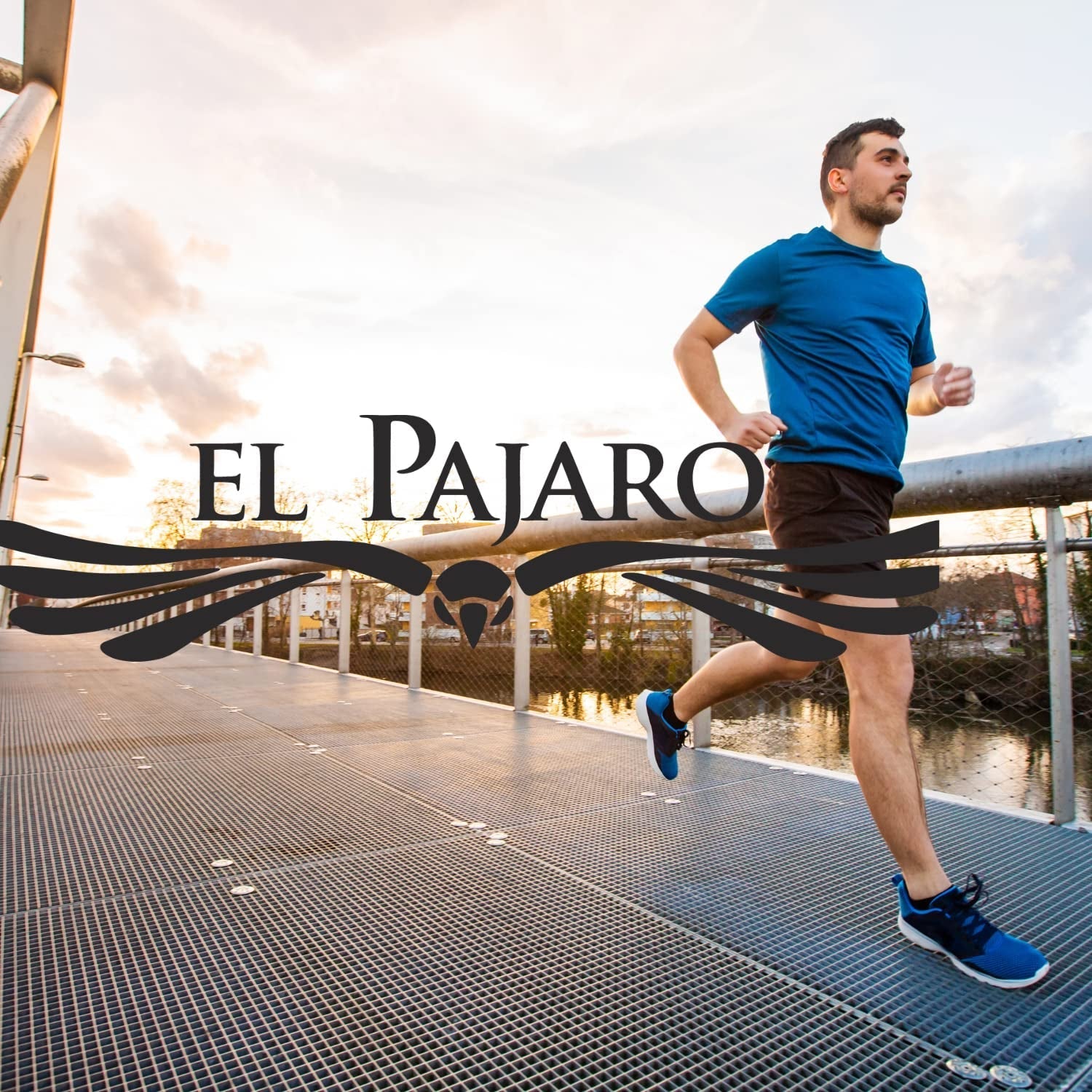 Yerba  Silueta 1000 G ● Ceai Mate ușor dulce și acru ● Cu frunze de mentă, măceșe ● Aromă de fenicul și mere ● Calitate superioară Pachet mare ● Ceai Mate Loose Leaf 1Kg + El Pajaro 50G