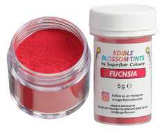 Pudră de colorant alimentar Sugarflair Blossom Tint Dust Fuchsia - Pudră de colorant alimentar pentru decoruri de tort, pastă de zahăr, fondant, glazură, ciocolată, cremă de unt, macarons și multe altele - 5G