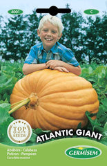 Kürbis ATLANTIC GIANT, Mehrfarbig, EC4001