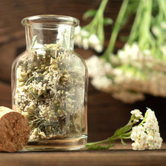 Teesamen-Set: 8 Sorten Samen für Balkon und Garten - Minze, Kamille, Anis, Brennnessel, Malve - Pflanzensamen - Tee - Teebox - OwnGrown-Pflanzen