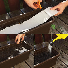 Bunte Balkonblumenmischung – 2 Premium-Balkonblumen-Samenmatten, einfach zu züchtende Sommerblumen und Wildblumensamen von OwnGrown Insect Friendly Annual Seeds