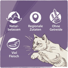 Venandi Animal - Hrană umedă premium pentru pisici - Cal ca monoproteină, pachet de 12 (12 x 125 g), fără cereale, monoproteină