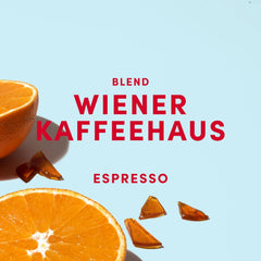 Espresso Bohnen - Wiener Kaffeehausmischung Espresso Blend - milde Röstung mit 100 % Arabica aus 7 Herkunftsländern - frisch in Berlin geröstet - 1k g