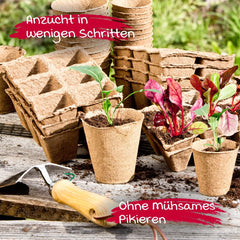 Ghivece pentru răsaduri Windhager, 48 bucăți, diametru 8 cm, maro, fără turbă, 04343