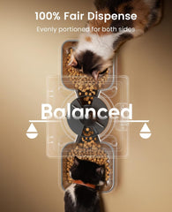 oneisall 5L Futterautomat Katze 2 Näpfe, Katzenfutter Automat mit einem Knopf, Einfache Bedienung, Futterspender für Katzen/Hunde, mit Edelstahlschüssel, Voice Recorder, für kleine/mittlere Haustiere