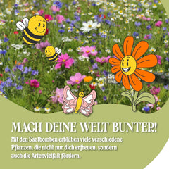 LouMaxx 10x3 handgemachtes Samenbomben-Set, Samenbomben-Geschenk, Blumensamen als Partygeschenke, nachhaltige Samen für Kinderpartygeschenke, umweltfreundliche Pflanzkugeln mit über 50 Arten von Blumensamen