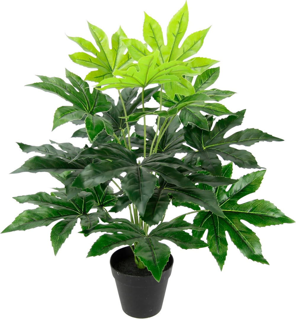 Künstliche Blattpflanze Im Topf Aralie 60 Cm Monstera Seidenblumen Real Touch Grün Kunstpflanzen Pflanzen Aralienpflanze Deko Dekopflanze Grünpflanze Seidenpflanze Zimmerpflanze Kunstblume Büropflanze