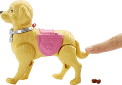 Păpușă Barbie Walk and Potty, păpușă blondă cu câine plimbăreț, lingură pentru caca, accesorii, inclusiv câine păpușă, cadou pentru copii, jucărie pentru copii cu vârsta de 3 ani și peste, DWJ68