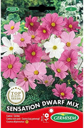 Schmuckkorb, mehrfarbig, EC1515