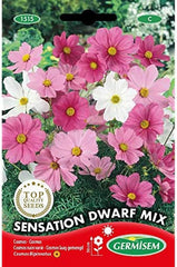 Schmuckkorb, mehrfarbig, EC1515