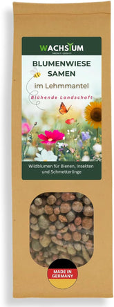 Blumensamen in einer schützenden Tonhülle für Bienen und Schmetterlinge, 400 g. Mehrjährige und winterharte Pflanzen, die eine blühende Landschaft von 20 m² schaffen. Wunderschöne Wildblumensamen für eine bunte Bienenweide. Geschenk für Kinder.
