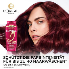 L'Oréal Paris Elvital XXL, Farbschutzshampoo für gefärbtes Haar, 1 Liter Dusche und Bad L'Oréal