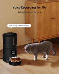 Faroro Futterautomat Katze, 4L Katzenfutter Automat, Futterspender Katze Mit 1–6 Mahlzeiten pro Tag, Portionskontrolle, 10s Sprache, Langsames Futter (Schwarz)