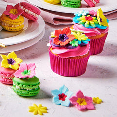 Colorant alimentar Funcakes Gel Pudră Roz: Colorant alimentar foarte concentrat pentru aluat, cremă, fondant, marțipan, produse de patiserie, dozare ușoară, picături individuale pentru a crea culori vibrante, Halal, 30 g