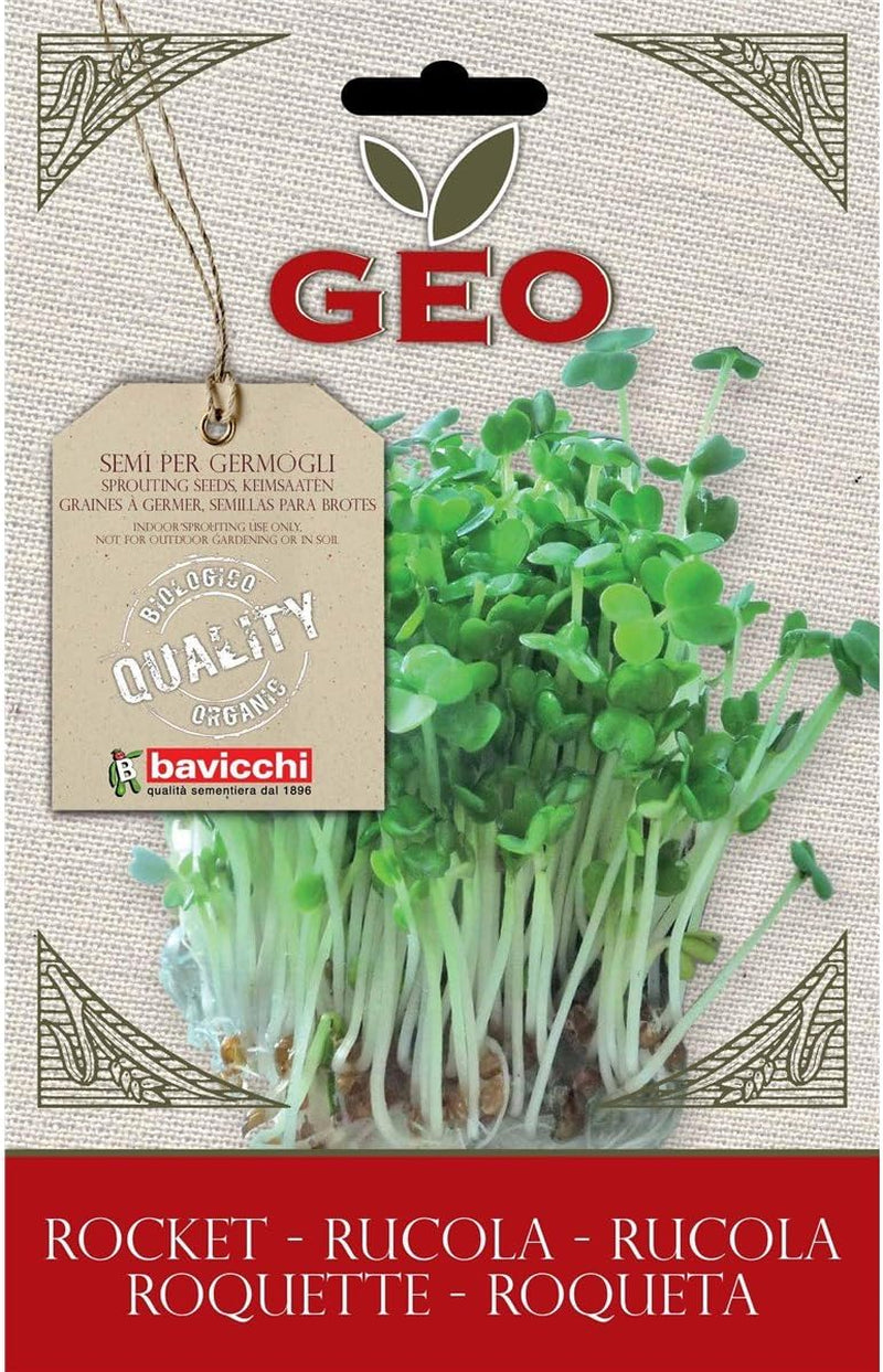 ZRU0203 Keimsaaten Rucola, Braun