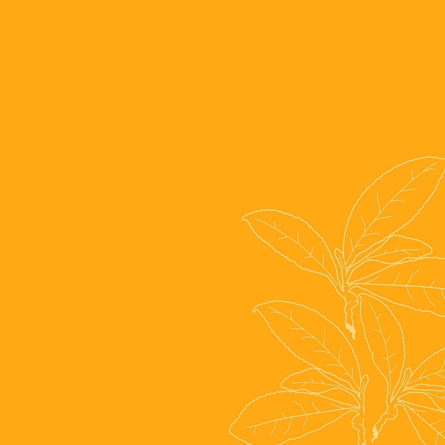 Produs pentru descurcarea parului hidratant fără greutate Sticlă de 237 ml pentru păr creț/ ondulat Produse pentru descurcarea părului Naty Shop