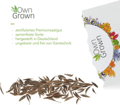 Cosmos-Samen (gefleckt): Premium-Cosmos-Samen für 100 blühende Cosmos-Pflanzen – Essbare Blumensamen – Bunte Blumensamen – Wildblumensamen von OwnGrown