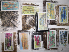 Wildblumensamen-Set, 10 Sorten, 28.000 Samen, Wiesen-Wildblumenmischung mit Mohn, Glockenblumen, Ringelblumen, Gänseblümchen und mehr, alles einzeln verpackt