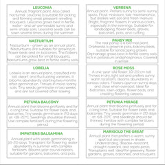 Nojus Blumensamen-Set – 10 Sorten Blumensamen – Balkonblumensamen – bunte Pflanzensamen – 10 Packungen – Wildblumensamen – Blumensamenbeutel – ideales Blumensamen-Geschenk