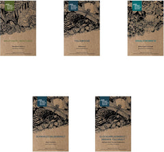 Legendäre Schachtelhalmpflanzen – Samenset mit 5 magischen Pflanzen