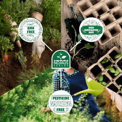 Nojus Blumensamen-Set – 10 Sorten Blumensamen – Balkonblumensamen – bunte Pflanzensamen – 10 Packungen – Wildblumensamen – Blumensamenbeutel – ideales Blumensamen-Geschenk