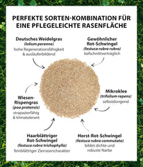 Dehner Saatgut Mikroklee-Rasen, Hochwertige Rasensamen Für Dichten/Sattgrünen Rasen Mit Feiner Optik, Pflegeleicht/Selbstdüngend, Ideal Für Spiel- & Entspannungsflächen, 1.25 Kg Für Ca. 50 M²