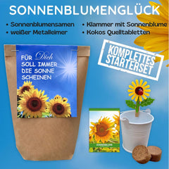 Geschenk für Frauen – Möge die Sonne immer für Sie scheinen – Sonnenblumen-Anzuchtset, Geschenkidee-Überraschungstüte, Pflanzset