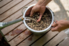 Floragard Green Jungle Mix 6 L – mineralisches Substrat zur Bepflanzung von Monstera, Philodendron – sorgt für optimale Drainage und gesundes Wurzelwachstum – ideal für anspruchsvolle Zimmerpflanzen