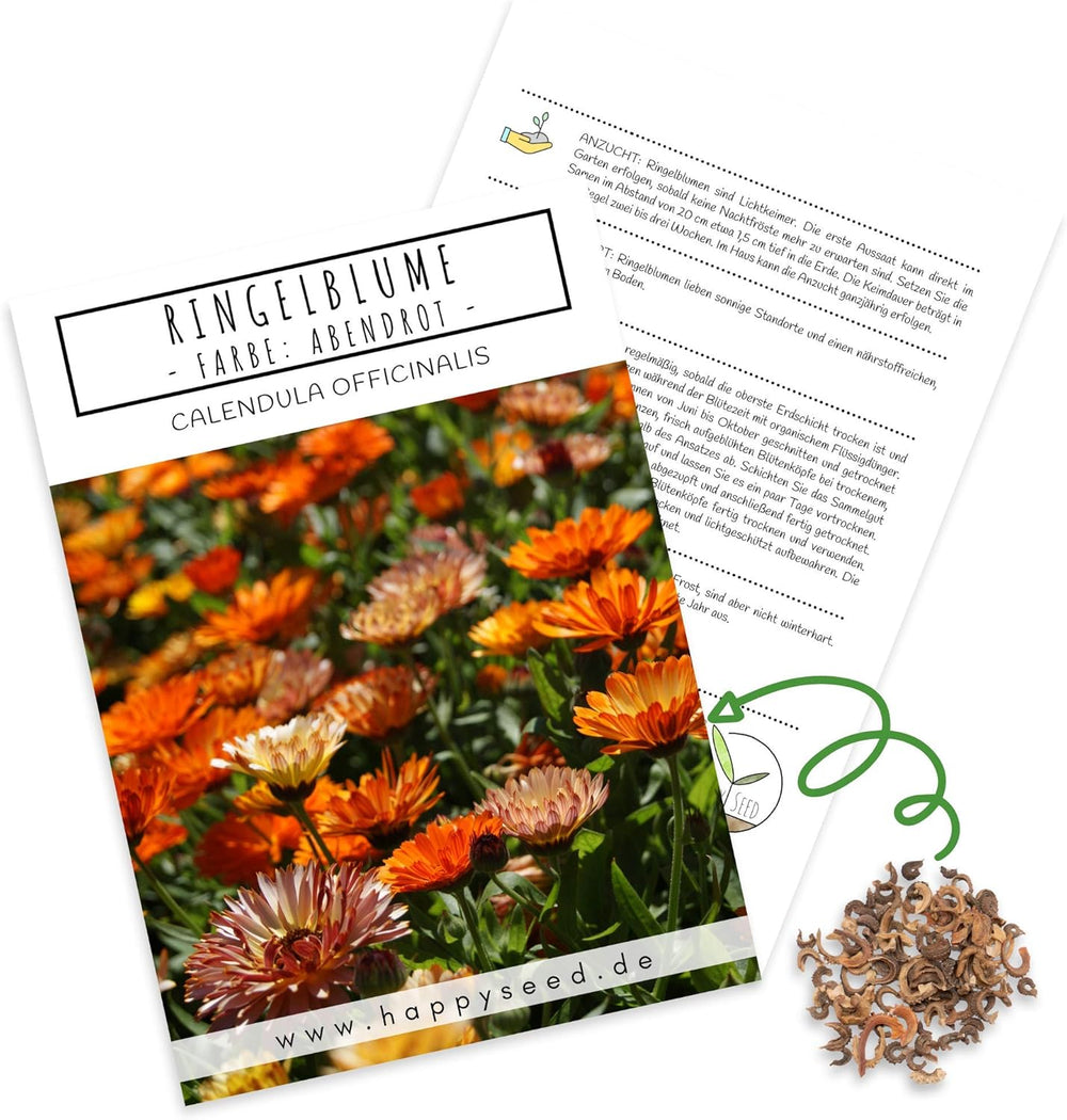 Ringelblumensamen (Calendula officinalis) – Vielseitige Heilpflanze mit essbaren Blüten und ideal für eine bunte Blumenwiese (Abendrot)