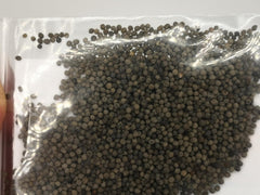 1000 Kalifornischer Mohn (Eschscholzia californica), Wildblumenwiese, Bienenweide.