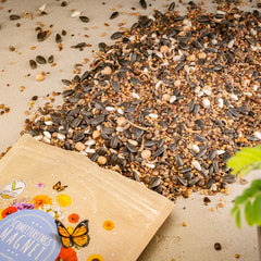 100g Schmetterlingssamen für eine bunte Blumenwiese – Bunte und nektarreiche Wildblumensamenmischung für Schmetterlinge