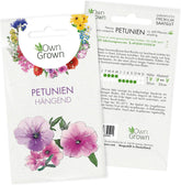 Petuniensamen: Premium-Petuniensamen für rund 400 Petunienpflanzen – Wunderschöne Petuniensamen für Balkon- und Gartenpflanzen – Blumensamen – Kriechpetuniensamen – Balkonblumen von OwnGrown
