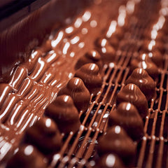 Pralinen mit Vollmilchschokolade und Haselnussfüllung, 200g-Box