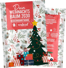 Weihnachtsbaum 2030 – Nordmann Weihnachtsbaumsamen zum Pflanzen eines Weihnachtsbaumes, ideal als Wichtelgeschenk zu Weihnachten