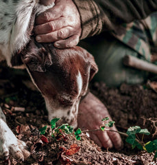 - Geschmackskonzentrat schwarzer Trüffel 30 ml, professionelle Verwendung Arome Naty Shop