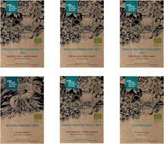 Unsere Lieblingspflanzen: Stauden und Sommerblumen für Blumenliebhaber (Bio) – Samen-Geschenkset mit 6 schönen Sorten für eine wilde Blumenexplosion – macht glücklich!