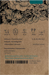 Blaues Gänseblümchen (Brachyscome iberidifolia) ca. 500 Samen der einjährigen Balkonblume, langblühende Topfpflanze, Sommerblume