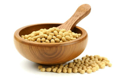 Spezielle gelbe Sojabohne für Tofu 5 kg Bio