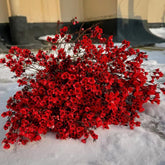 Chamelaucium Uncinatum Hecken Sträucher Winterhart Blühend Ausgefallene Geschenke Minigarten Für Sonnige Plätze Exotische Bio Grünpflanzen Garten Baumsamen Bonsai Zimmerpflanze 25Samen
