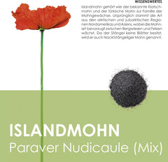 Isländischer Mohnsamen-Mix (Papaver nudicaule) – Wunderschön blühender Mohn mit langer Blütezeit für eine bunte Blumenwiese (Isländischer Mohn)