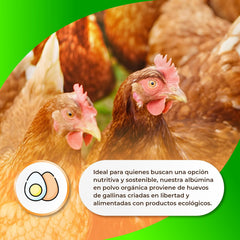 Sermand Nutrition Eialbumin, 100 % Pulver, glutenfrei, laktosefrei