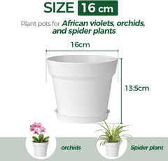 T4U Ghiveci de flori din plastic de 16 cm cu farfurie, set de 6 ghivece din plastic pentru plante aromatice cu găuri multiple de drenaj, ghiveci rotund pentru plante suculente de interior și balcon, cactuși, alb