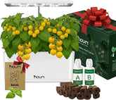 Neue 7 Bridge + Heirloom Basilikum | Smart Garden für Hobbyköche | Hydroponisches Anbausystem | LED-Wachstumslichter | Kräutergarten-Set für den Innenbereich für Pflanzenliebhaber und Gärtner, Weiß