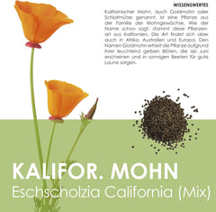 Kalifornischer Mohn-Mix (Eschscholzia californica) – Wunderschön blühender Mohn mit langer Blütezeit für eine bunte Blumenwiese (Kalifornischer Mohn)