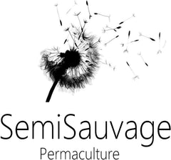 25 Samen für Papes – uralte Gartenblühpflanze – reproduzierbare Samen für Landwirte, halbwild