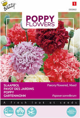 Mohnblumen Buzzy Mac Paeoniflorum Gef. Mischen.