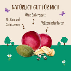 Allos ungesüßtes Proteinmüsli | Bio-Müsli | Haferflocken | Müsli zum Frühstück | Vegan (5 x 450g), 1 Stück (5er Pack)